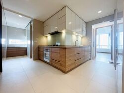 Skyline @ Orchard Boulevard (D9), Apartment #541065171